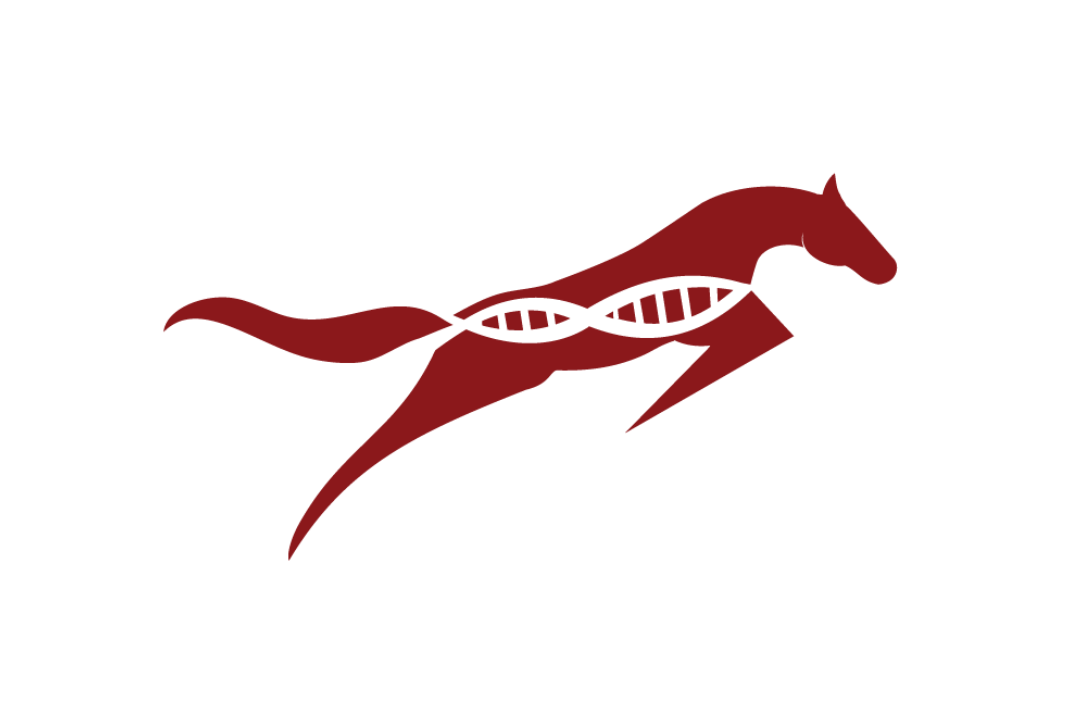 E Logo